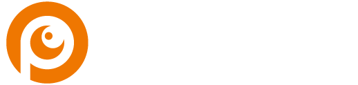 Project-Vision-Logo-white-24
